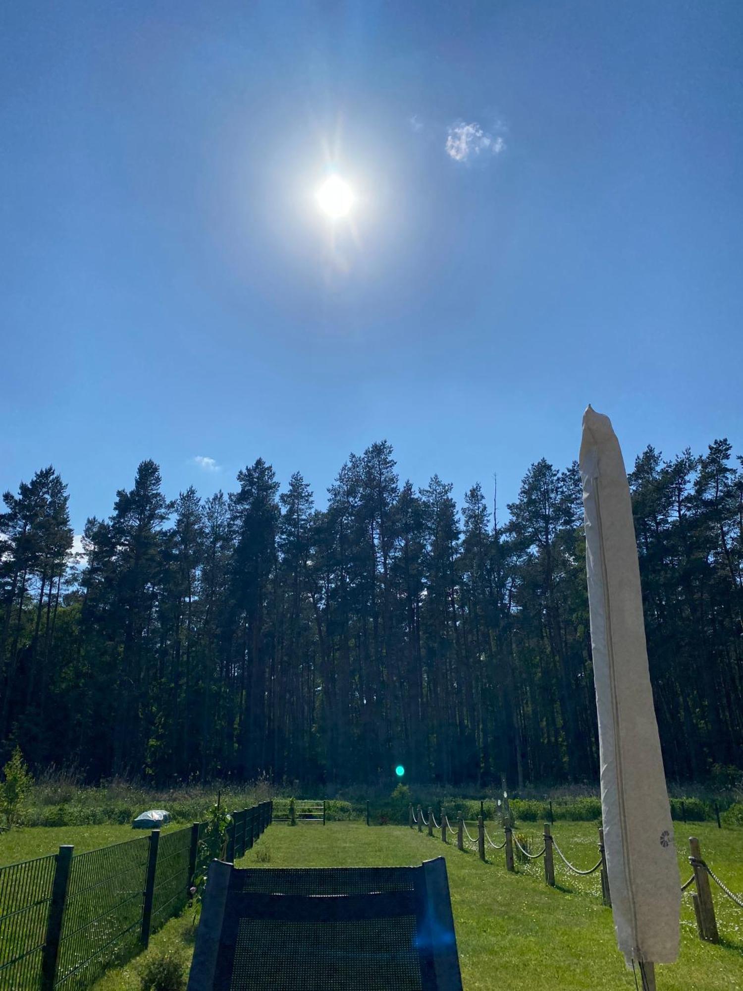 Lieblingsplatz Im Kuestenwald Graal-Mueritz Gelbensande Exterior foto